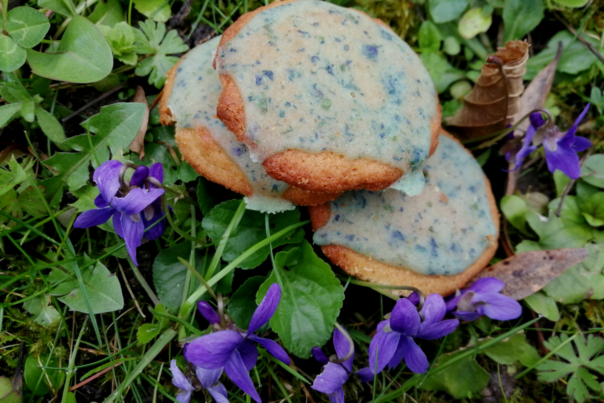 Palets fondants à la violette